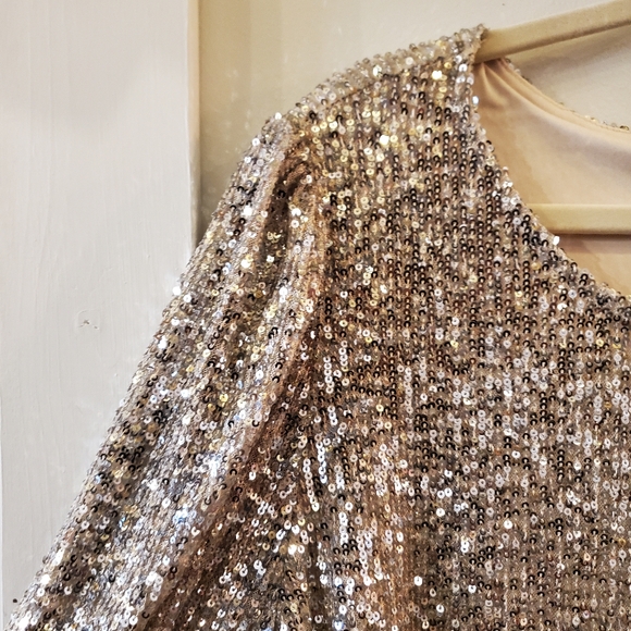 Cable & Gauge sequined top size 3X - Picture 2 of 6